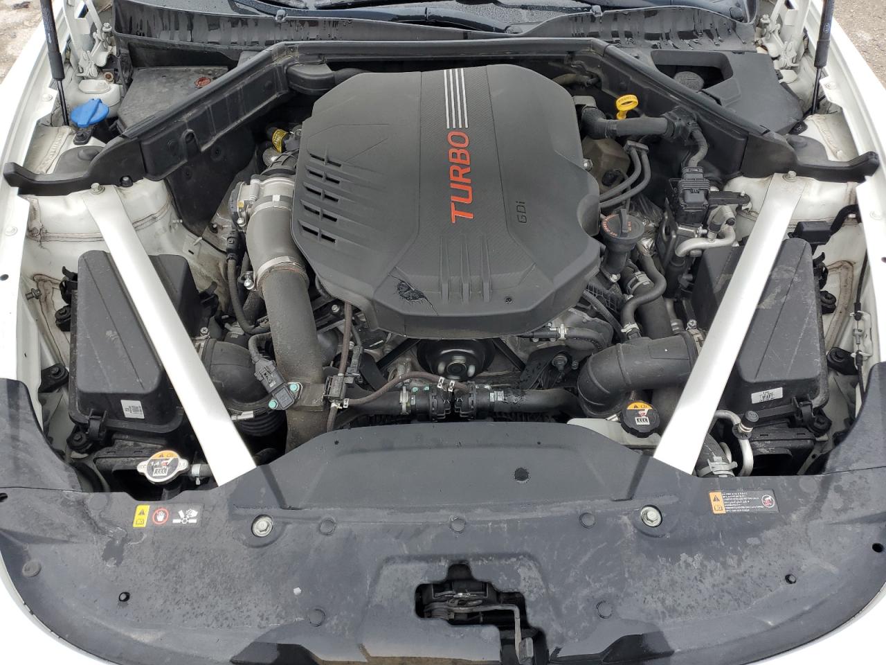 2020 Kia Stinger Gt VIN: KNAE35LC5L6081009 Lot: 71889315