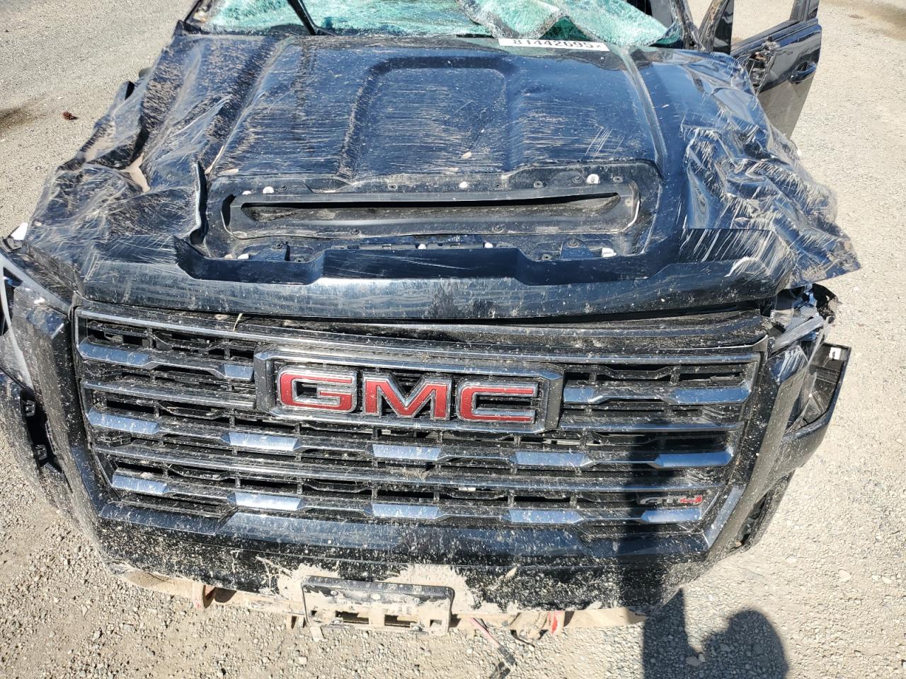 2024 GMC Sierra K2500 At4 VIN: 1GT49PEY3RF436530 Lot: 81442695