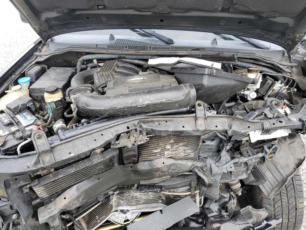 2010 Nissan Xterra Off Road VIN: 5N1AN0NU6AC525478 Lot: 84213155