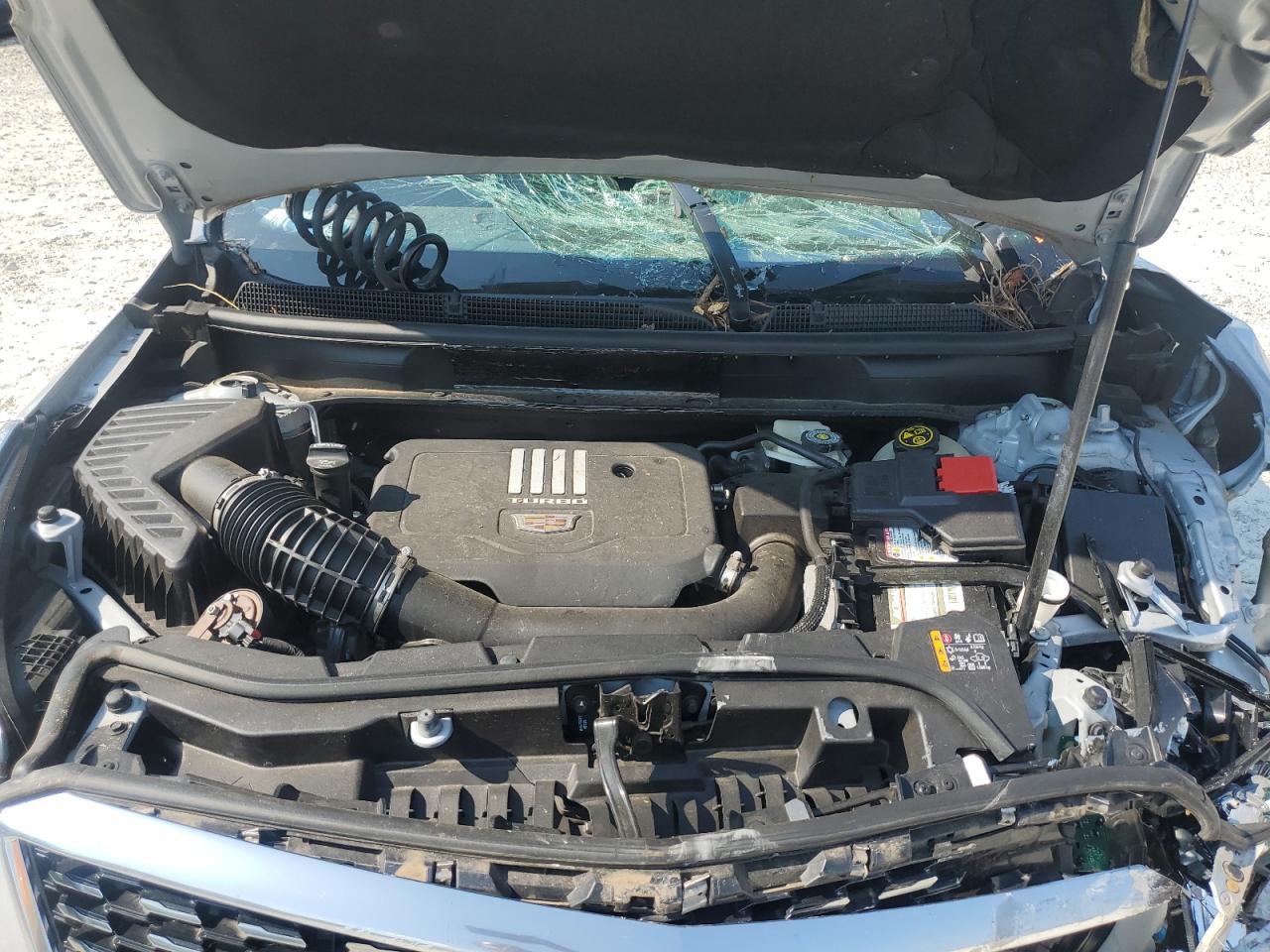 2020 Cadillac Xt5 Premium Luxury VIN: 1GYKNCR42LZ219649 Lot: 81113925