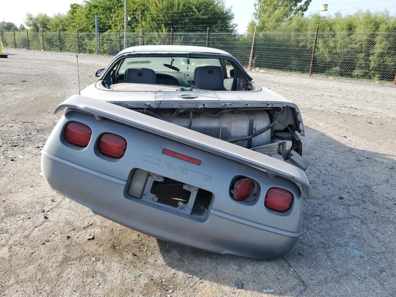 1991 Chevrolet Corvette VIN: 1G1YY2382M5105696 Lot: 80547455