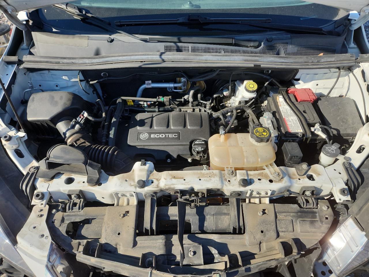 2016 Buick Encore VIN: KL4CJASB6GB702220 Lot: 81054045