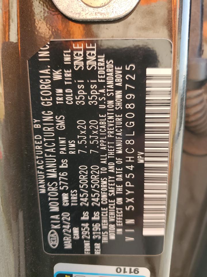 2020 Kia Telluride Sx VIN: 5XYP54HC8LG089725 Lot: 80520495