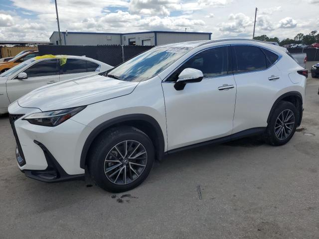  LEXUS NX 350 PRE 2024 Белы