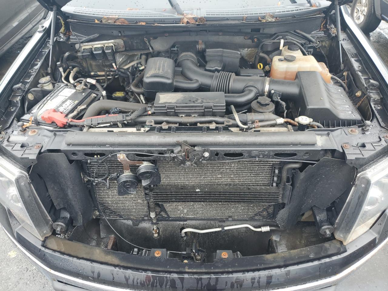 2010 Ford F150 Super Cab VIN: 1FTFX1EV7AFA17523 Lot: 81663685