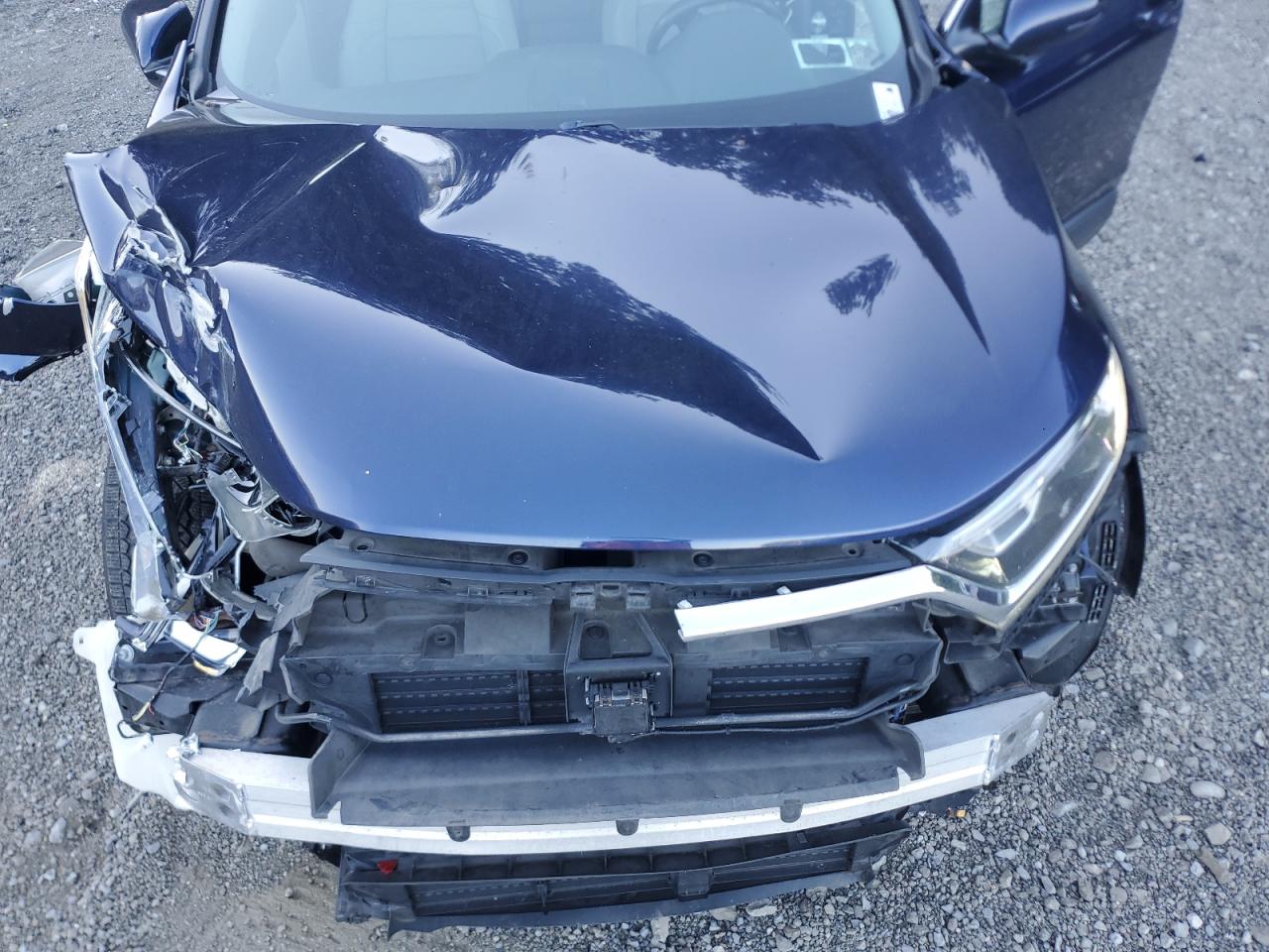 2019 Honda Cr-V Exl VIN: 2HKRW2H89KH610982 Lot: 81583835