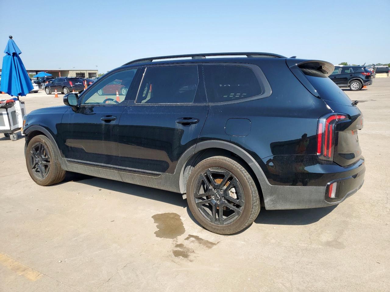 2024 Kia Telluride Sx 5XYP5DGCXRG425546 photo #3