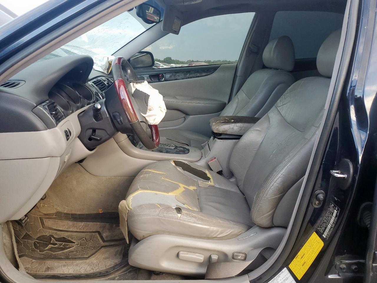 2003 Lexus Es 300 VIN: JTHBF30G336007580 Lot: 80347275