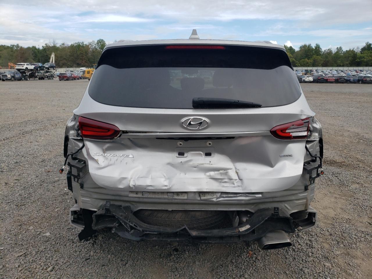 2020 Hyundai Santa Fe Sel VIN: 5NMS3CAD5LH271871 Lot: 71810445