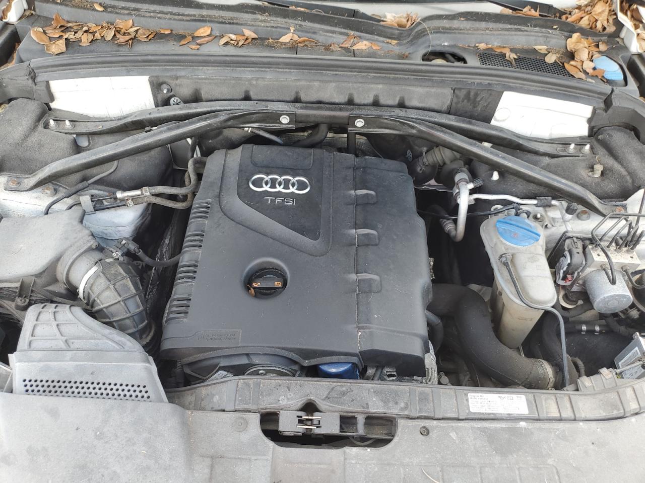 2012 Audi Q5 Premium Plus VIN: WA1LFAFP4CA086637 Lot: 80884245