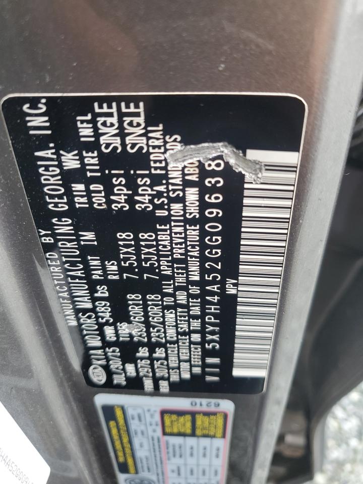 2016 Kia Sorento Ex VIN: 5XYPH4A52GG096386 Lot: 81895395