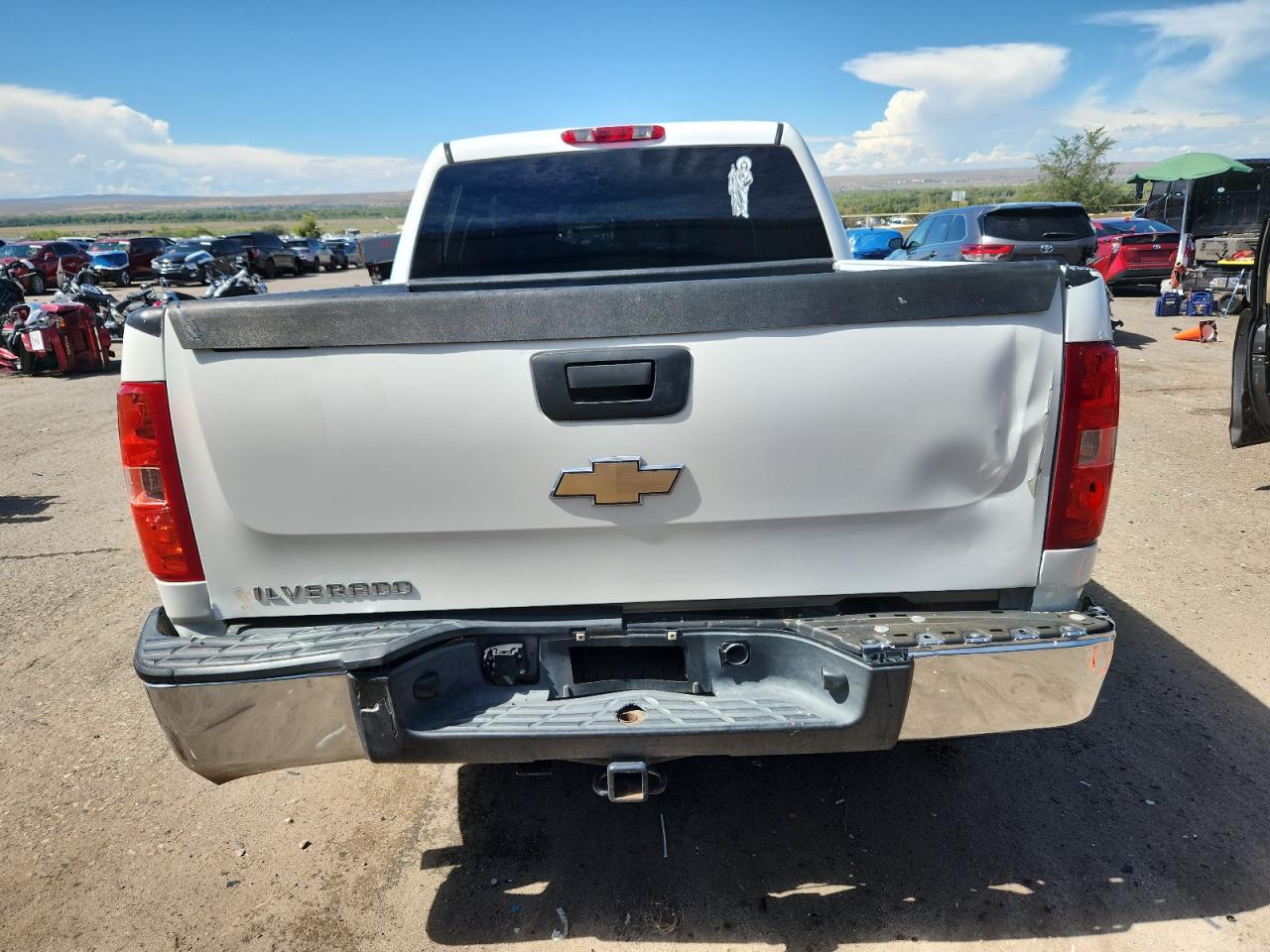 2009 Chevrolet Silverado C1500 VIN: 3GCEC13C49G262248 Lot: 81794585