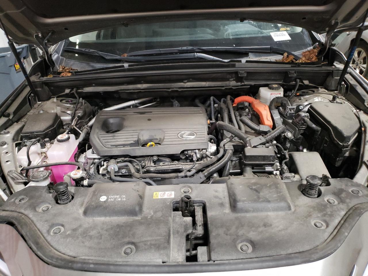 2025 Lexus Nx 350H Base VIN: JTJGKCEZ1S2045776 Lot: 80845405
