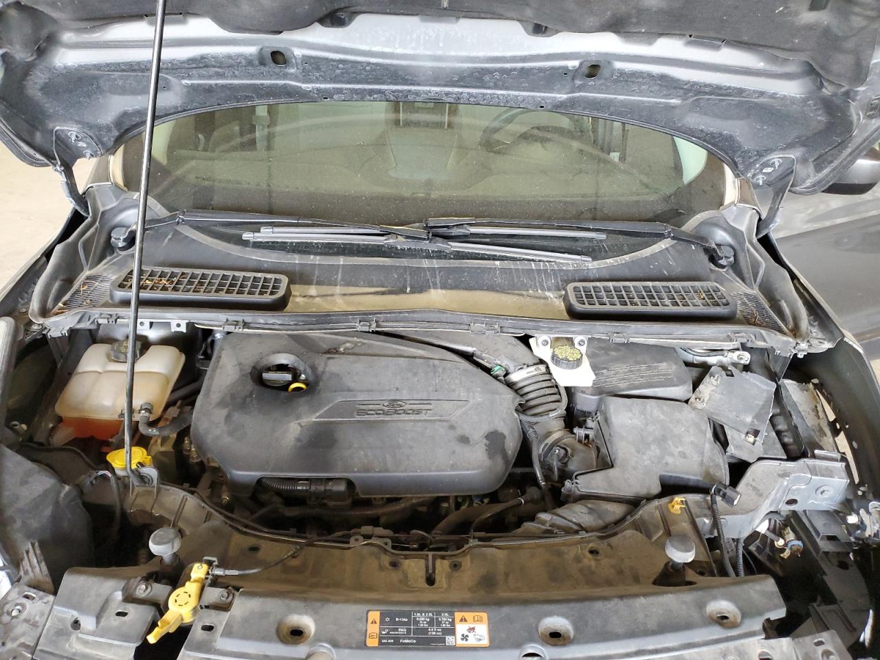 2014 Ford Escape Se VIN: 1FMCU0GX7EUD29973 Lot: 81947075