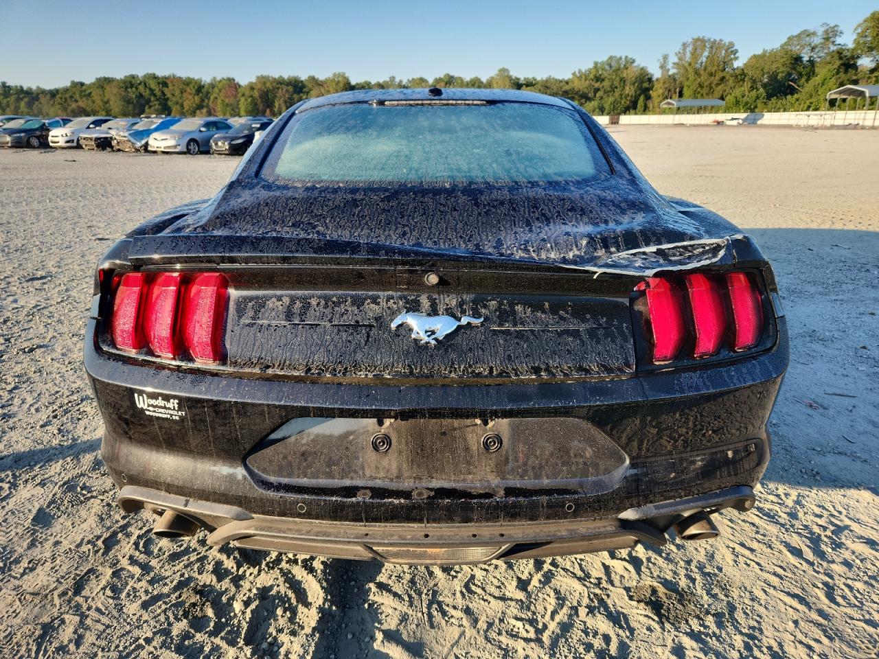 2019 Ford Mustang VIN: 1FA6P8THXK5197227 Lot: 80188135