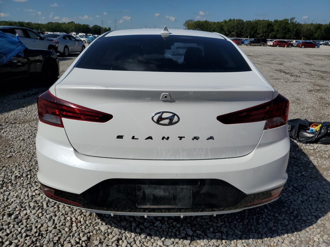 2019 Hyundai Elantra Sel VIN: 5NPD84LF5KH490118 Lot: 84263895