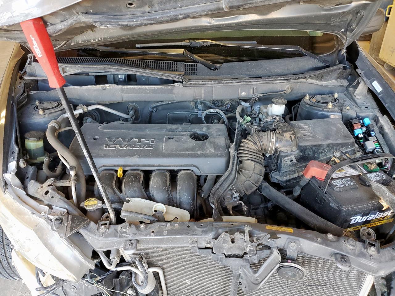 2005 Pontiac Vibe VIN: 5Y2SL63895Z448213 Lot: 81714975