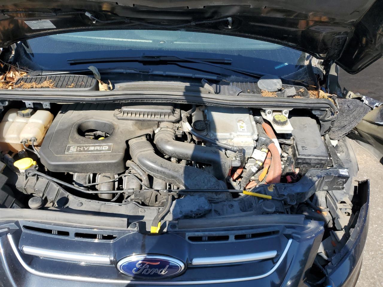 2015 Ford C-Max Sel VIN: 1FADP5BU5FL103213 Lot: 80413925