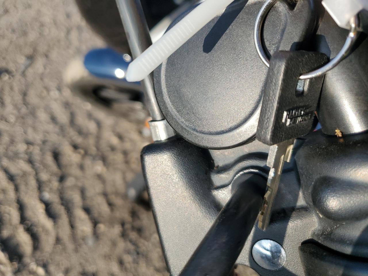 2020 Harley-Davidson Xl1200 Ns VIN: 1HD1LP313LB406337 Lot: 80301695