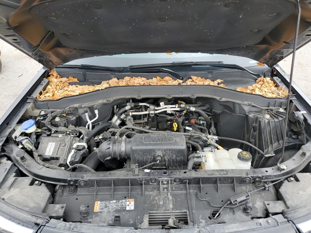 2022 Ford Explorer VIN: 1FMSK8BH1NGB53579 Lot: 83889265