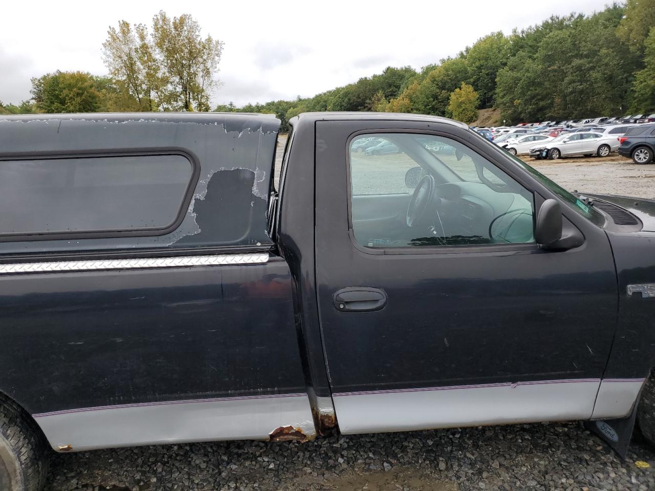 1998 Ford F150 VIN: 1FTZF172XWNB89819 Lot: 80222465
