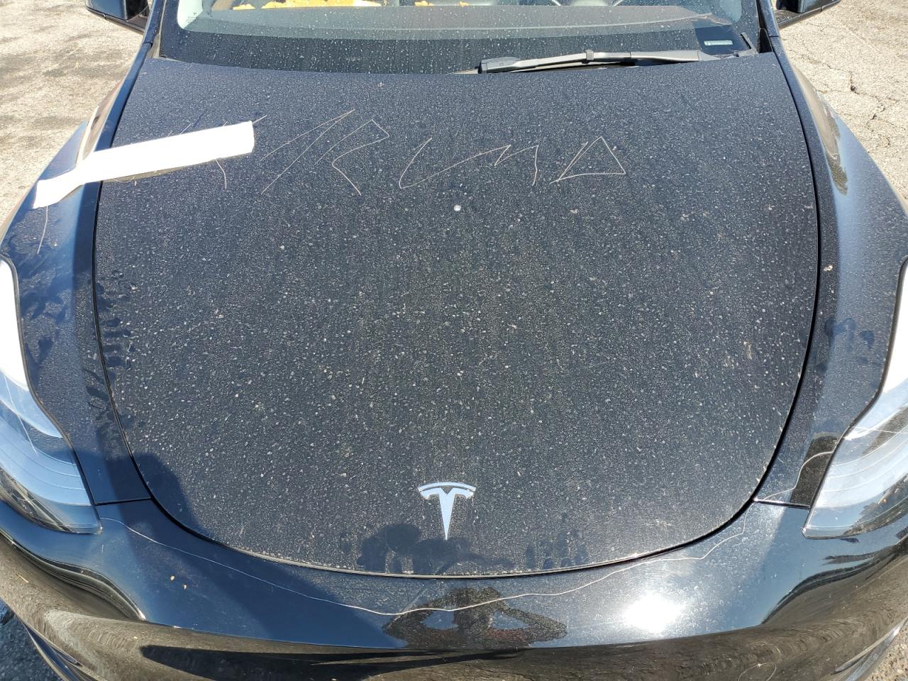 2023 Tesla Model Y VIN: 7SAYGDEE0PA032744 Lot: 84433575