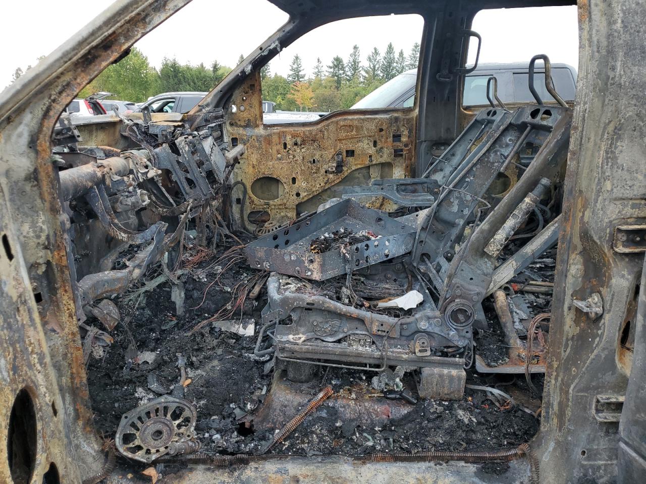 2009 Ford F150 Supercrew VIN: 1FTRW14849FA30902 Lot: 83797795