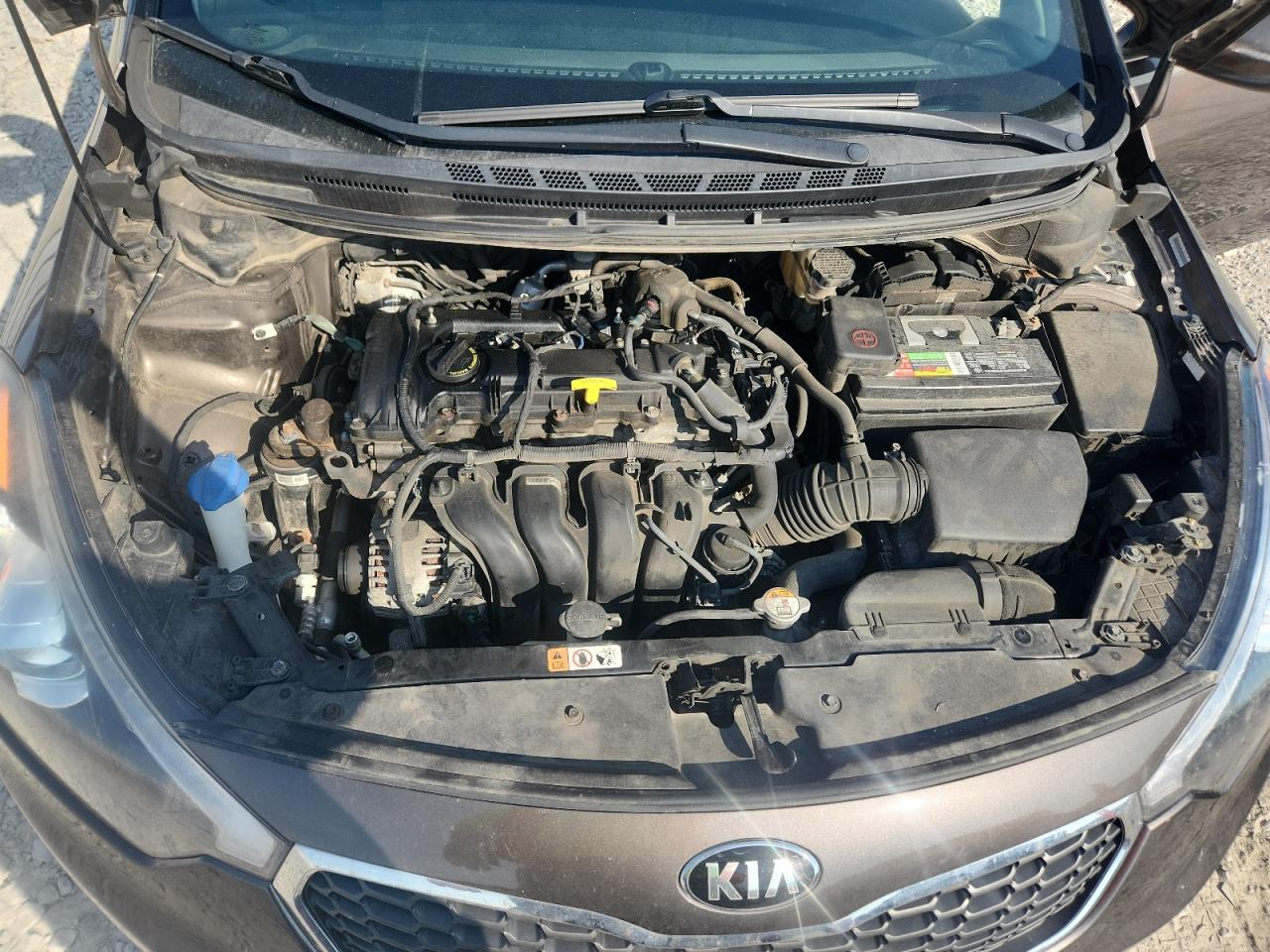 2015 Kia Forte Ex VIN: KNAFX5A85F5271717 Lot: 80528015