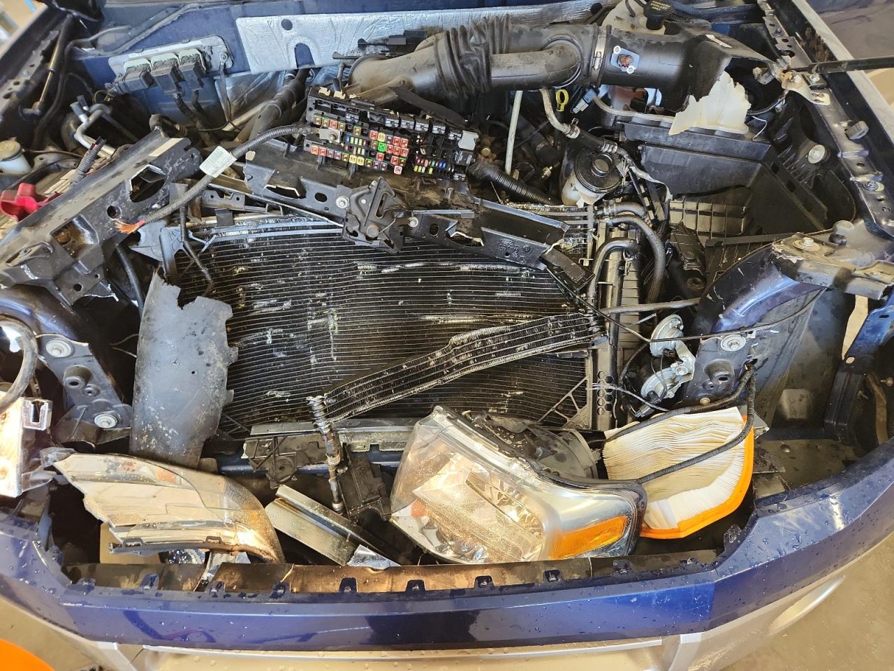 2011 Ford Expedition Xlt VIN: 1FMJU1J52BEF26964 Lot: 80933525