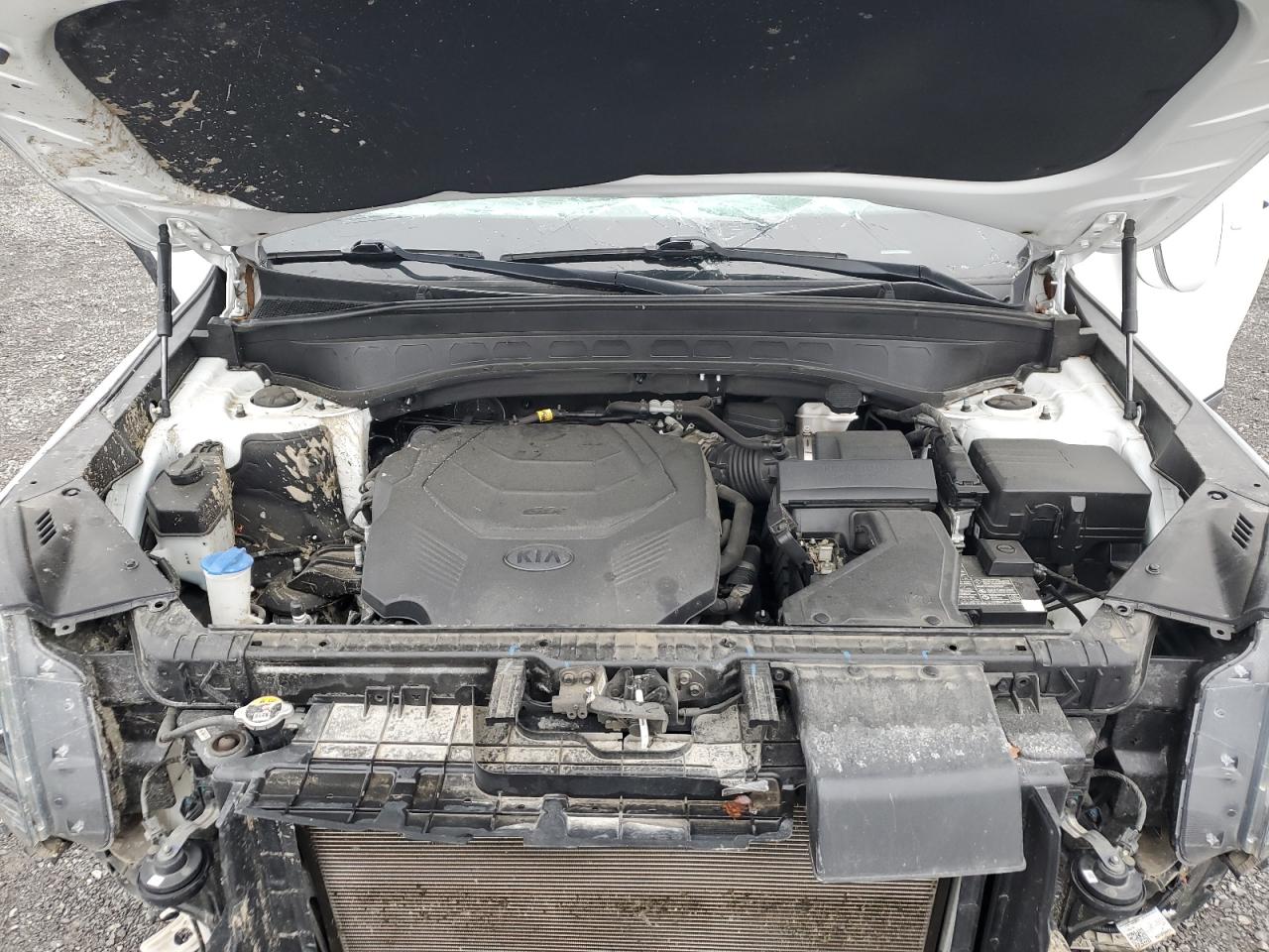 2020 Kia Telluride Ex VIN: 5XYP3DHC5LG068854 Lot: 83960215