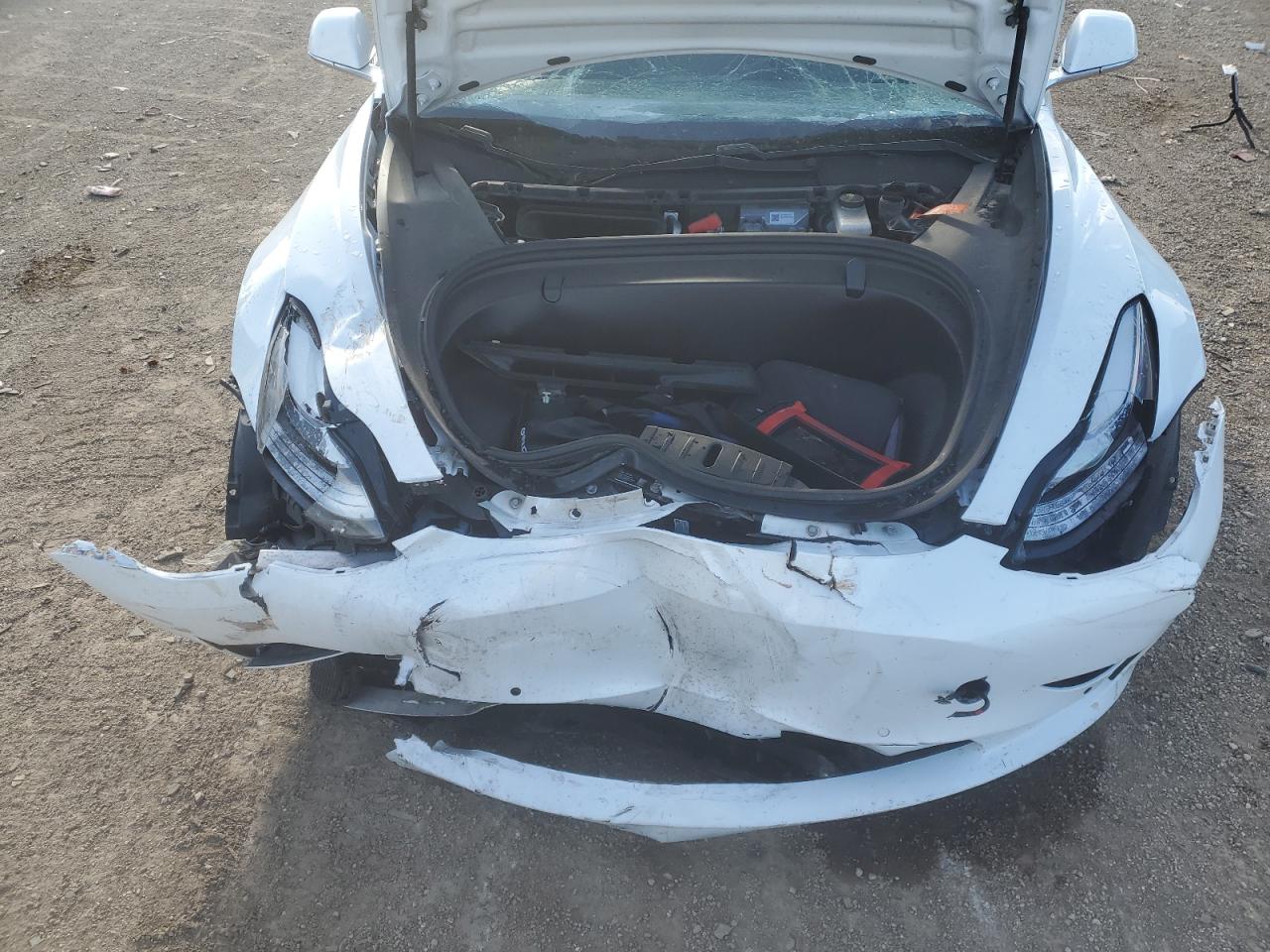 2019 Tesla Model 3 VIN: 5YJ3E1EBXKF513923 Lot: 71280455
