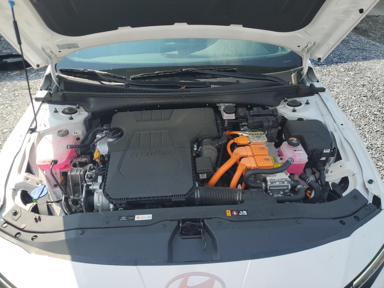 2024 Hyundai Elantra Limited VIN: KMHLN4DJXRU116381 Lot: 71868795