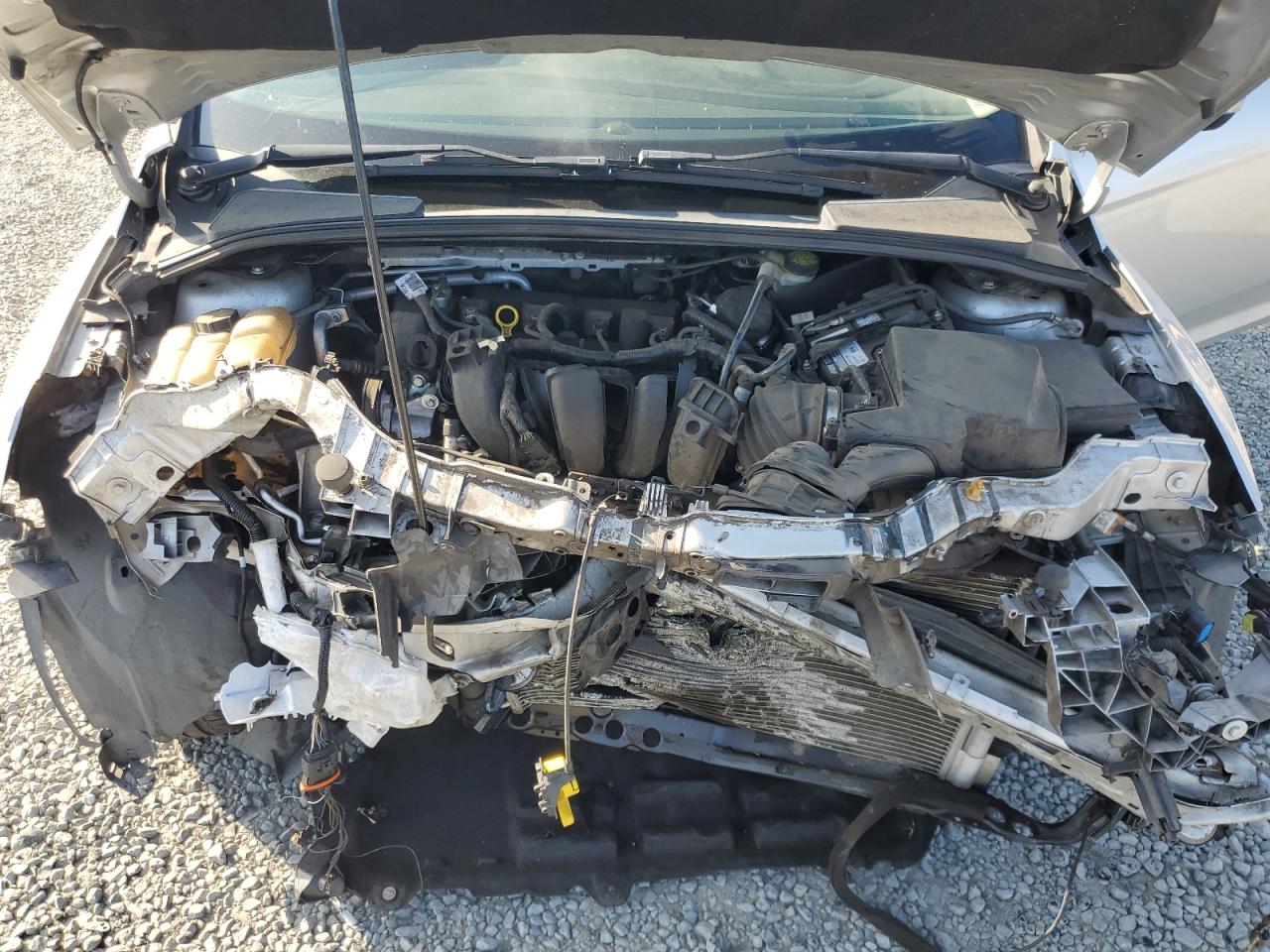 2015 Ford Focus Se VIN: 1FADP3F23FL300930 Lot: 81479815