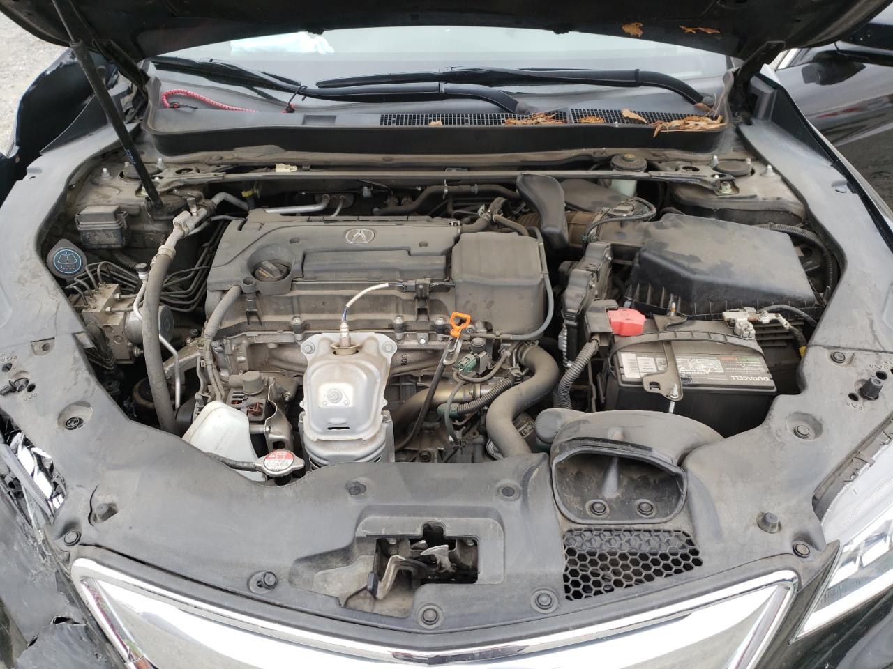 2016 Acura Tlx Tech VIN: 19UUB1F52GA013438 Lot: 81820645