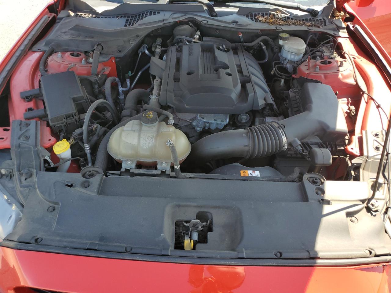 2017 Ford Mustang VIN: 1FA6P8TH6H5271509 Lot: 71563885