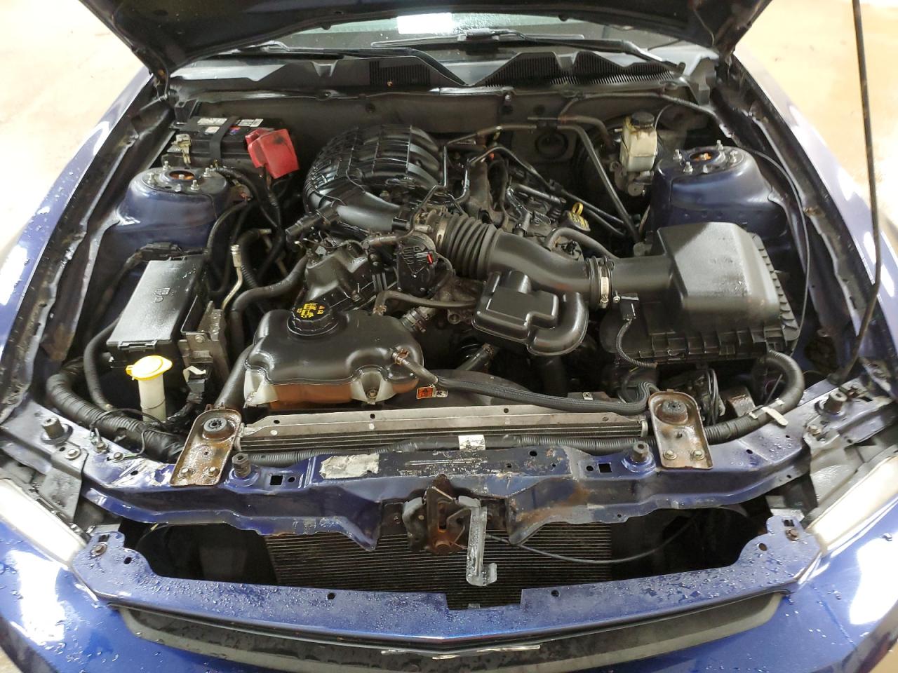 2012 Ford Mustang VIN: 1ZVBP8AM4C5200825 Lot: 81629885