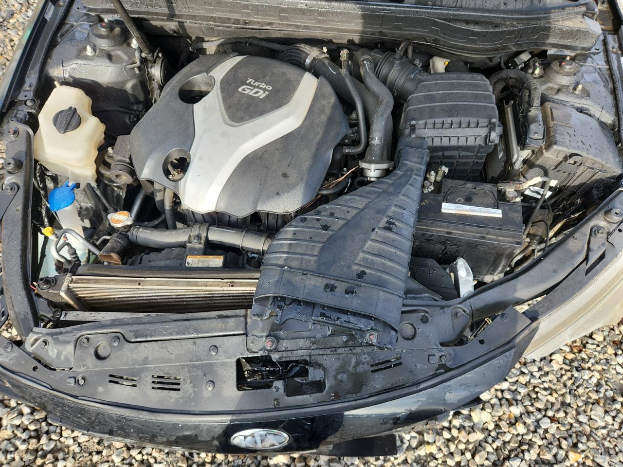 2013 Kia Optima Sx VIN: 5XXGR4A65DG091463 Lot: 81033285