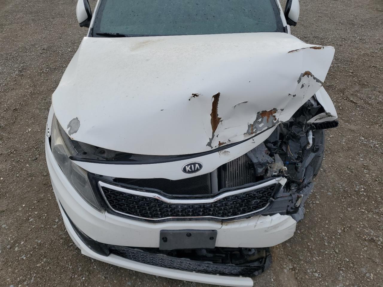 2013 Kia Optima Sx VIN: 5XXGR4A61DG126922 Lot: 81878765