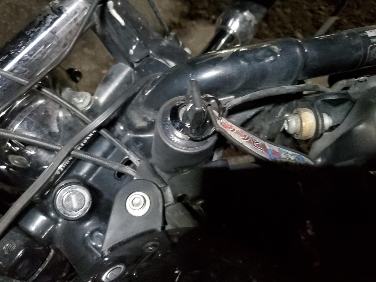 2004 Harley-Davidson Xl883 C VIN: 1HD4CJM154K442007 Lot: 84299905