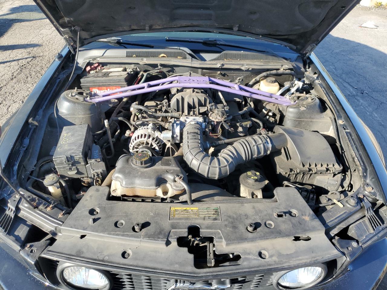 2006 Ford Mustang VIN: 1ZVFT80N765252364 Lot: 81040165