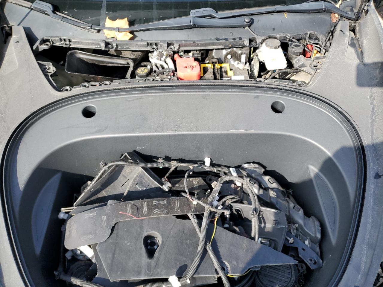 2021 Tesla Model 3 VIN: 5YJ3E1EBXMF858310 Lot: 80662725