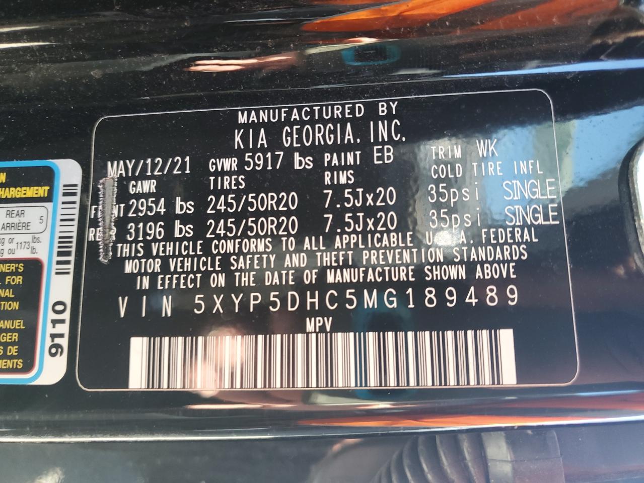 2021 Kia Telluride Sx VIN: 5XYP5DHC5MG189489 Lot: 81862055