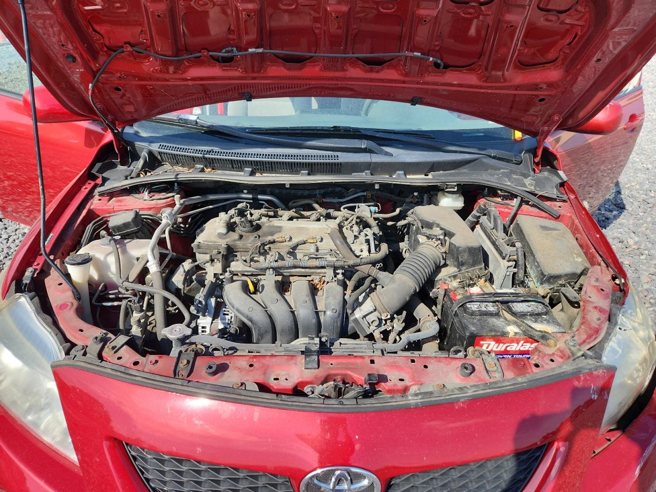 2009 Toyota Corolla Base VIN: JTDBL40E199025050 Lot: 84806105