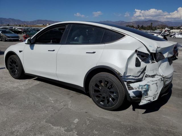 TESLA MODEL Y 2024 White