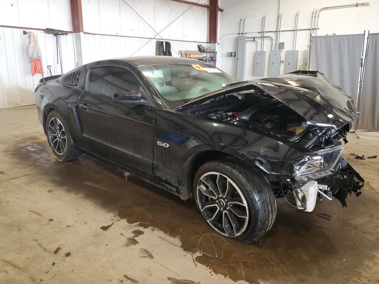 2013 Ford Mustang Gt VIN: 1ZVBP8CFXD5248667 Lot: 84782255