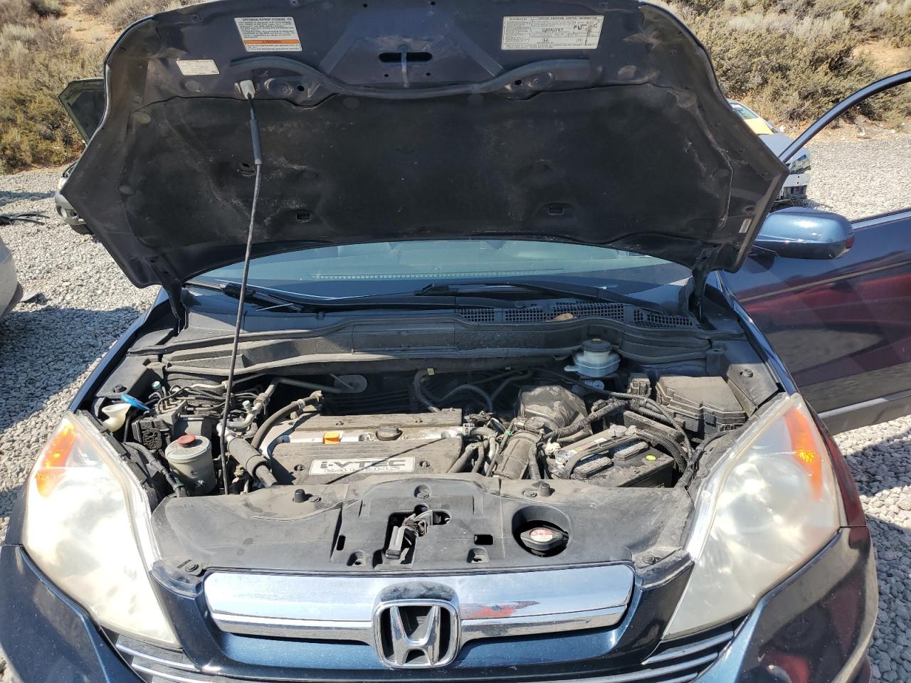 2007 Honda Cr-V Exl VIN: JHLRE48777C031100 Lot: 81247595