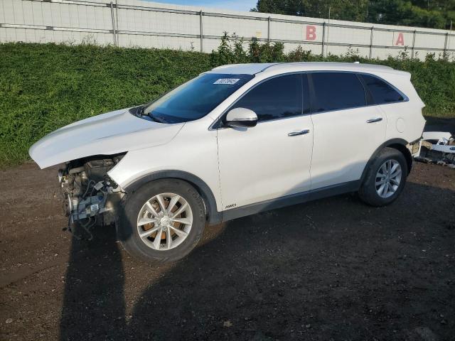  KIA SORENTO 2017 Белы