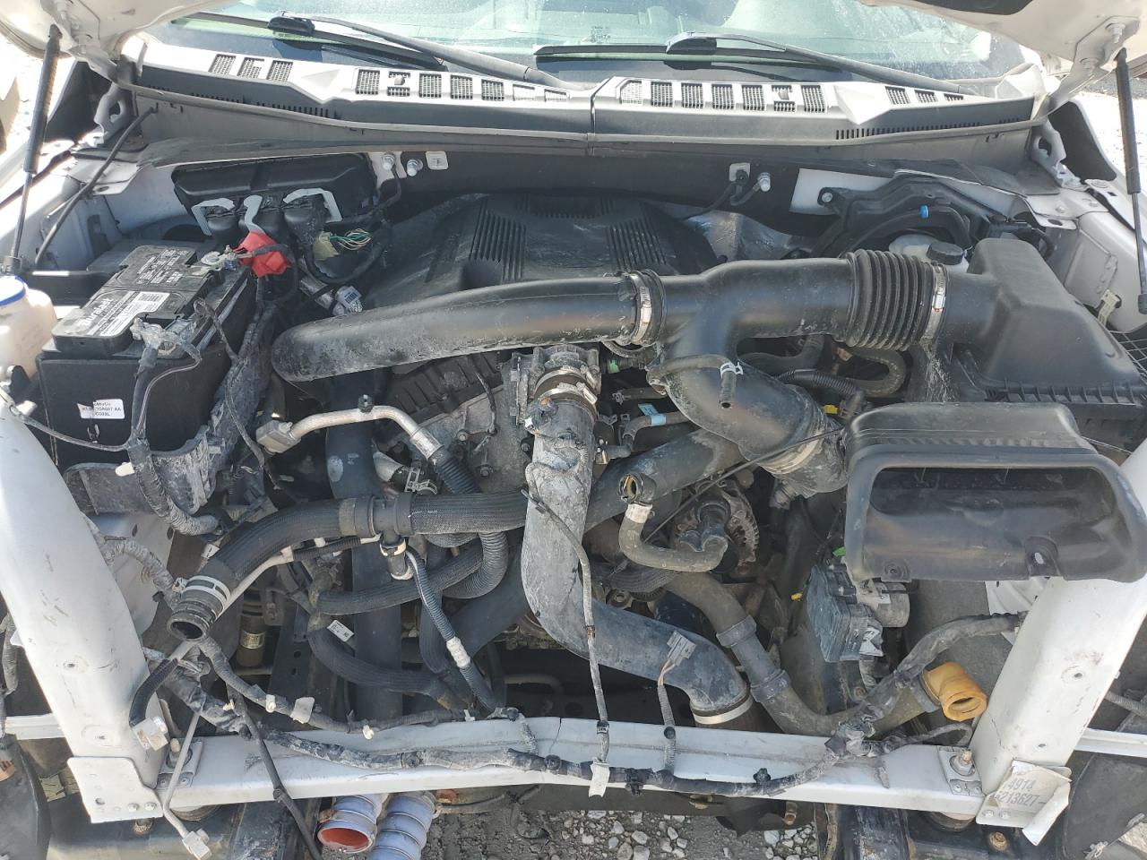 2020 Ford F150 Supercrew VIN: 1FTEW1E4XLFB35882 Lot: 80453295