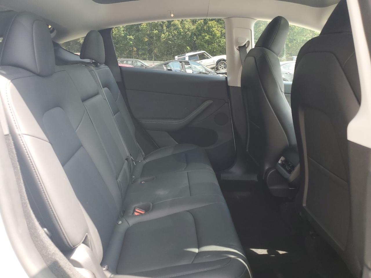 2024 Tesla Model Y VIN: 7SAYGDEE7RA289421 Lot: 80481865