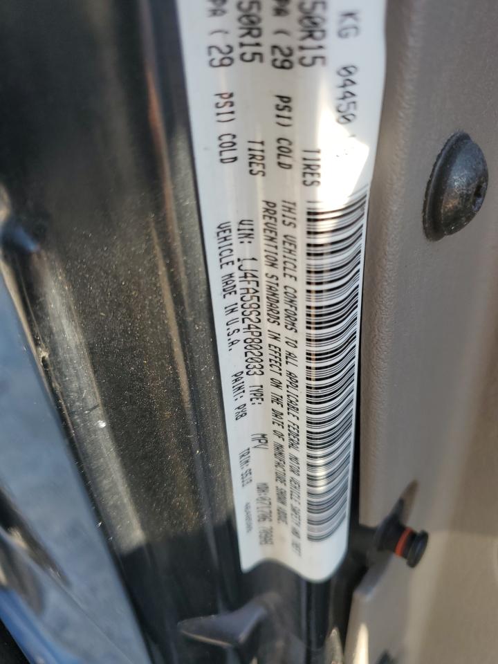 2004 Jeep Wrangler / Tj Sahara VIN: 1J4FA59S24P802033 Lot: 82044915